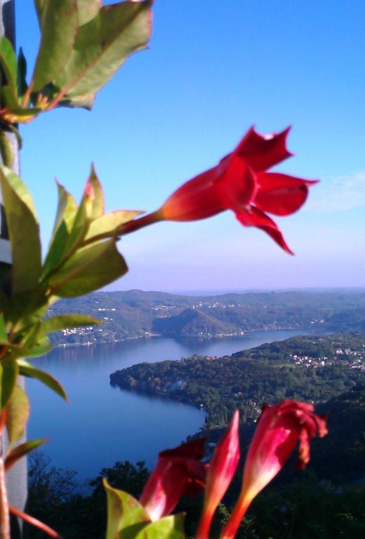 Hotel Panoramico Lago D'Orta (Adults Only) Madonna Del Sasso 外观 照片